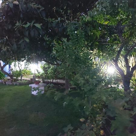 אובידוס Vila Casa Do Sobral מראה חיצוני תמונה