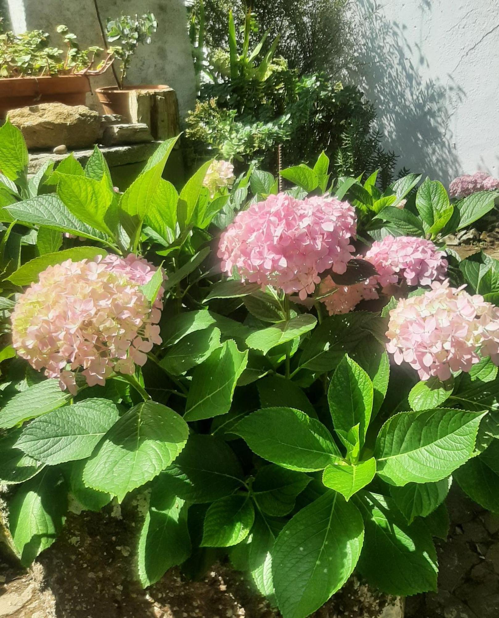 אובידוס Vila Casa Do Sobral מראה חיצוני תמונה