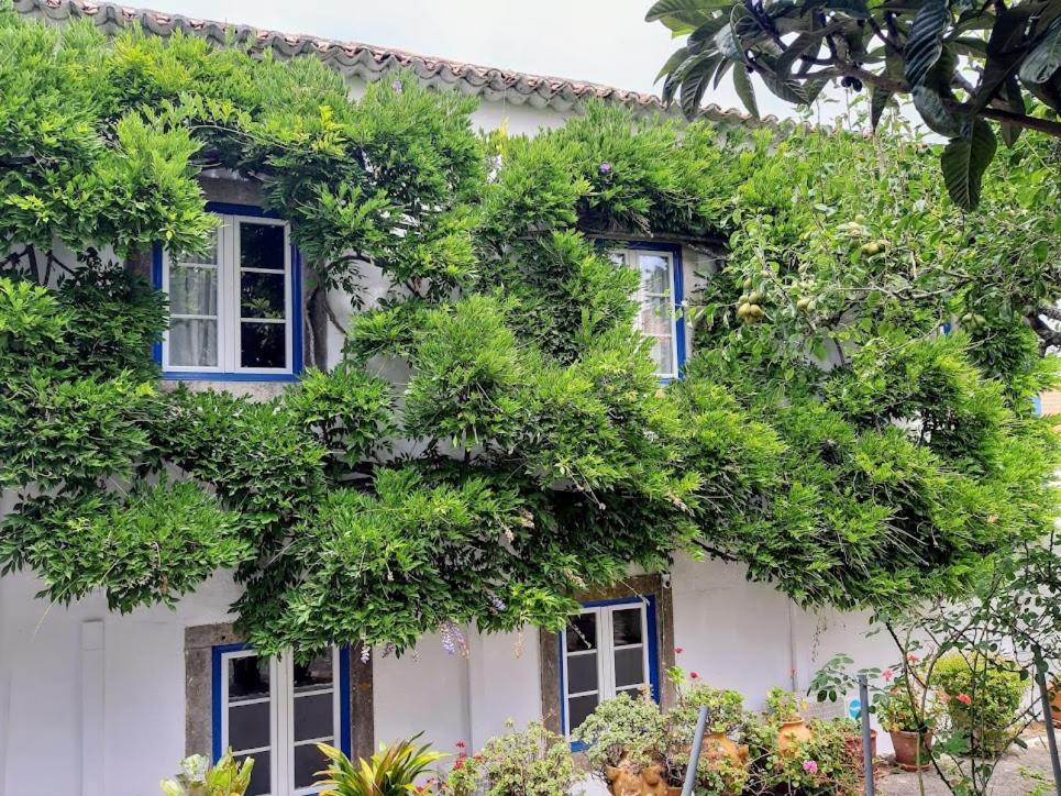 אובידוס Vila Casa Do Sobral מראה חיצוני תמונה