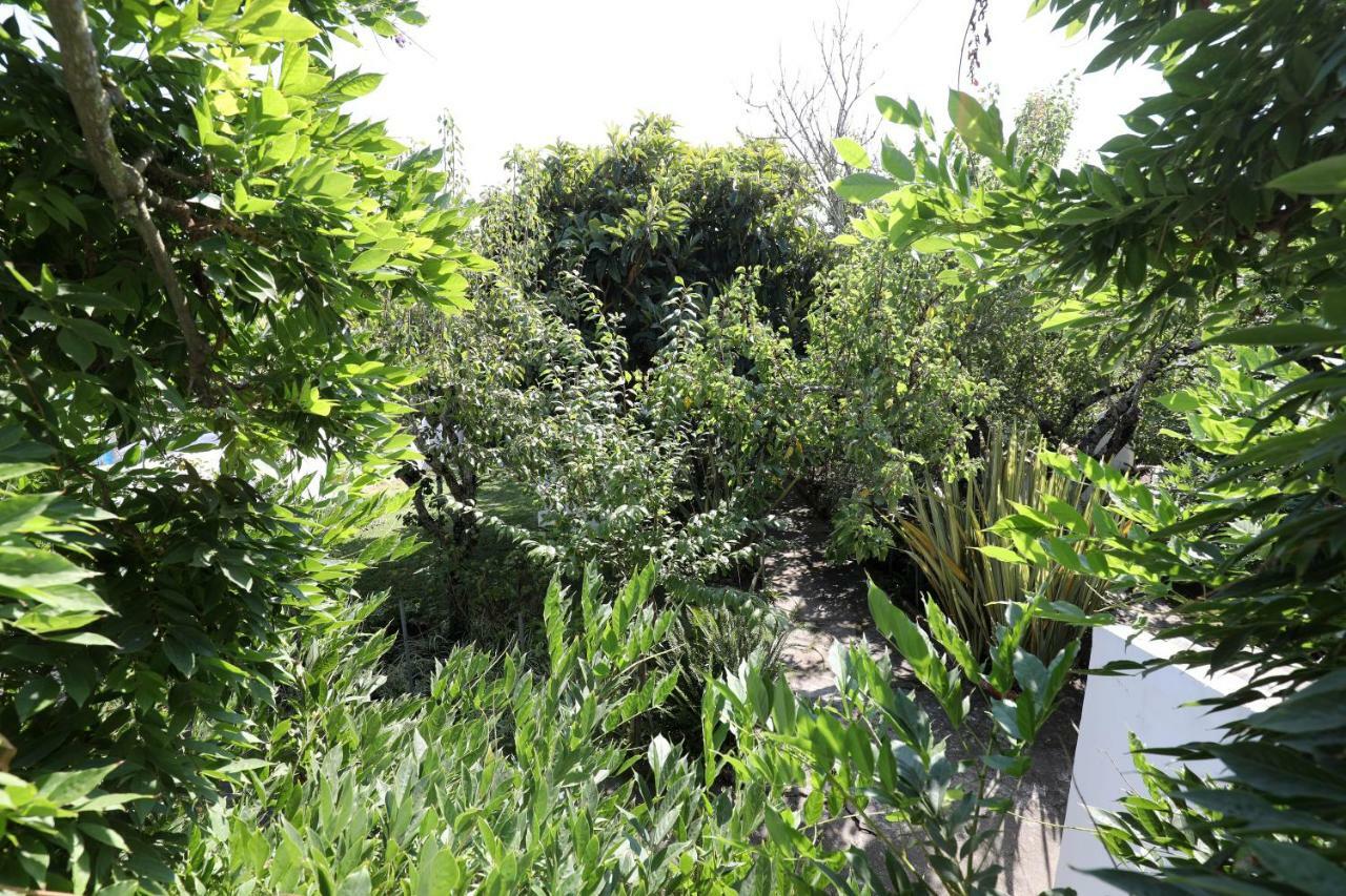 אובידוס Vila Casa Do Sobral מראה חיצוני תמונה